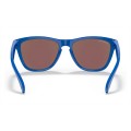 Oakley Frogskins Origins Collection Sunglasses Sapphire Frame Prizm Sapphire Lens