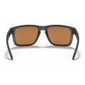 Oakley Holbrook Xl Sunglasses Matte Black Frame Prizm Violet Lens