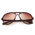 Ray Ban Rb4125 Cats 5000 Sunglasses Brown/Clear Brown Gradient