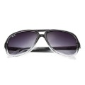 Ray Ban Rb4162 Cats 5000 Sunglasses Black/Purple