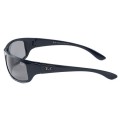 Ray Ban Rb4176 Active Sunglasses Black/Silver