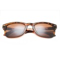 Ray Ban Rb7788 Wayfarer Sunglasses Tortoise/Light Brown