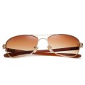 Ray Ban Rb8302 Tech Carbon Fibre Sunglasses Gold/Crystal Brown